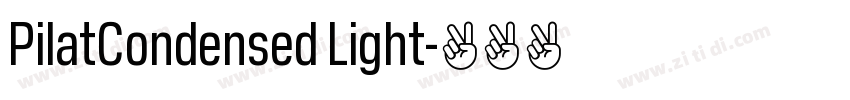 PilatCondensed Light字体转换